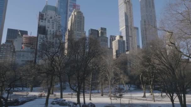 Filmado Uma Manhã Inverno Com Céu Azul Nova York — Vídeo de Stock