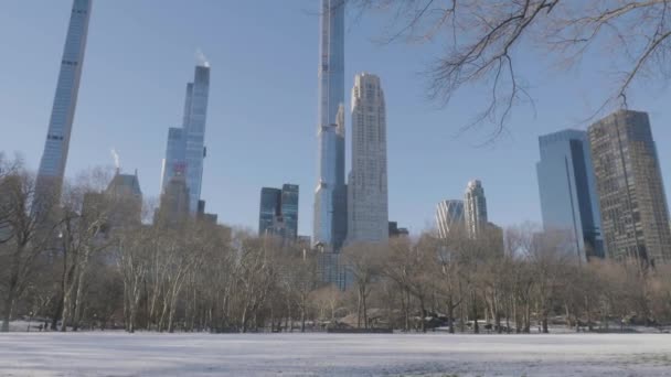 Filmado Céu Claro Manhã Inverno Nova York — Vídeo de Stock