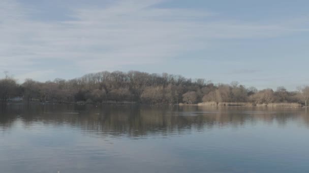Colpo Scena Brooklyns Prospect Park Lake Una Giornata Invernale — Video Stock