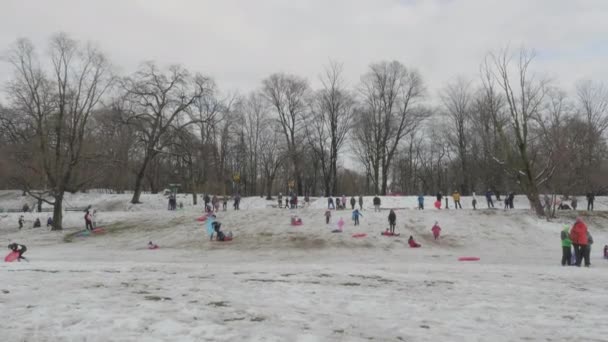 Brooklyns Prospect Parkı Nda Kızakla Kayan Tanınmayan Çocukların Kamerası Görüntüleri — Stok video