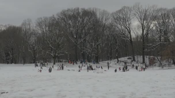 Портативный Снимок Неузнаваемых Детей Катающихся Санках Бруклинском Проспектном Парке — стоковое видео