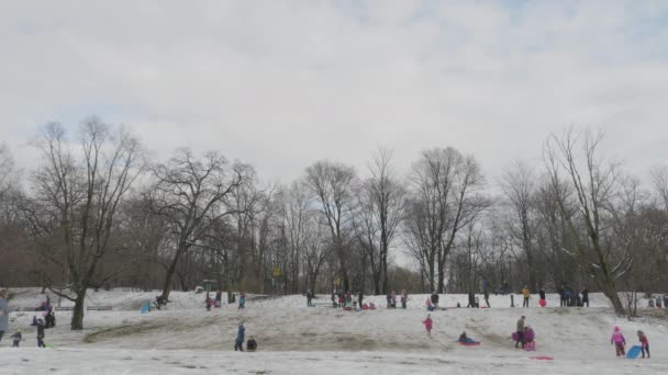 Brede Hoek Shot Van Kinderen Sleeën Een Sneeuwdag Prospect Park — Stockvideo