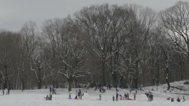 Wide Angle Shot Kids Sledding Snow Day Prospect Park Brooklyn — Stock Video