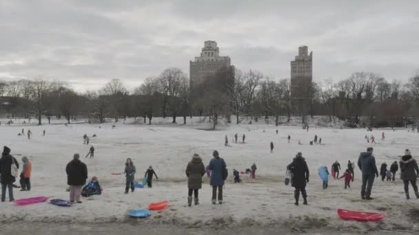 Handheld Shot Unrecognizable Kids Sledding Brooklyns Prospect Park — Stock Video