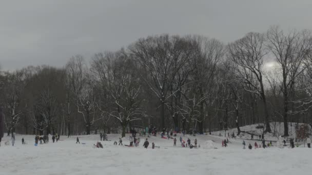 布鲁克林的特蕾特公园 孩子们在雪天滑行时拍的全景照片 — 图库视频影像