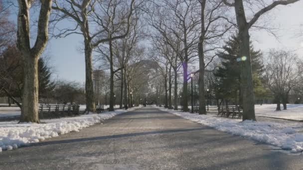 Establishing Shot Flushing Meadows Park Winter Day Shot Queens New — Stock Video