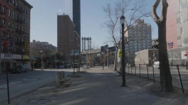 Ręczne Ujęcie Mew Lecących Przed Nowojorskim Mostem Manhattan Strzelanina Zimowy — Wideo stockowe