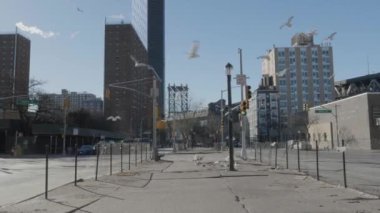 New York 'un Manhattan Köprüsü' nün önünde uçan martıların el kamerasıyla çekilmiş görüntüleri. 4K 'da bir kış sabahı vuruldu..