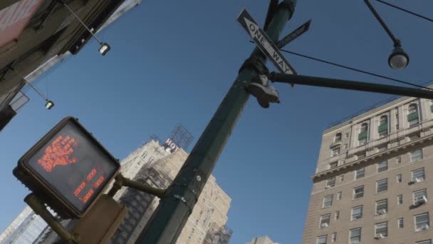 ハンドヘルドはニューヨーク市の交通信号を見上げた — ストック動画