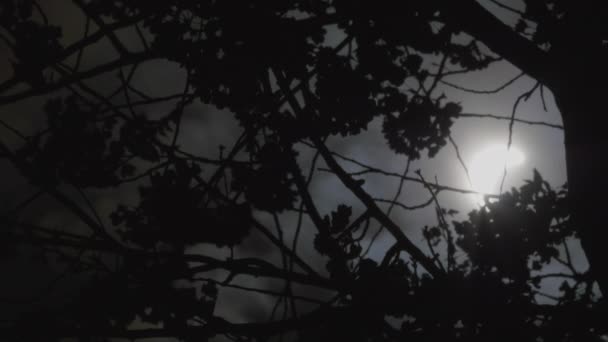 Primer Plano Eclipse Solar Filmado Nueva York 2024 — Vídeos de Stock