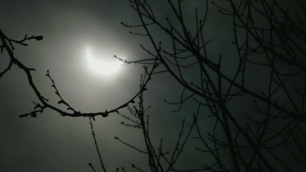 Primer Plano Eclipse Solar Filmado Nueva York 2024 — Vídeos de Stock