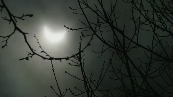 Primer Plano Eclipse Solar Disparo Bosque Durante Primavera 2024 — Vídeo de stock