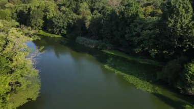 Sıcak bir yaz sabahı 4K 'da çekilmiş..