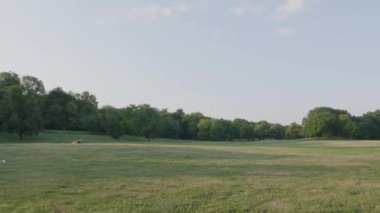Brooklyn 'deki Prospect Park' ın el kamerasıyla çekilmiş bir fotoğrafı..