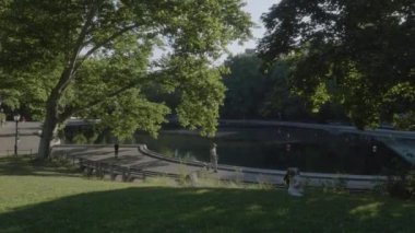 Central Park 'ın bir yaz sabahını çekiyoruz. 4K 'da New York' ta çekilmiş..