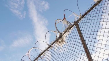 Queens, New York 'ta dikenli tellerin el kamerasıyla çekilmiş fotoğrafı. Bir yaz sabahı çekilmiş.