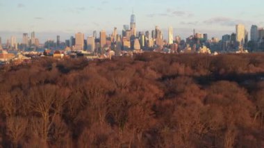 Bir kış sabahı Prospect Park 'ın havadan görünüşü. Güneşin doğuşunda, arka planda Manhattan silueti....