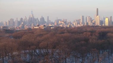 Brooklyn 'deki Prospect Park ve Manhattan ufuk çizgisinin havadan görünüşü. New York 'ta bir kış günü çekilmiş..