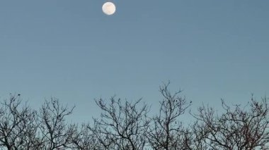 Kış günü dolunayın havadan görünüşü