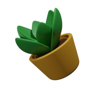 Beyaz arkaplanda seramik bir çömlekte bitki