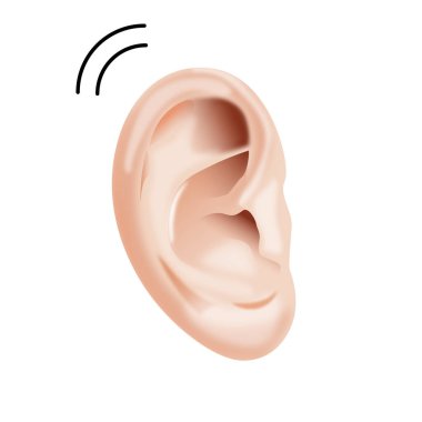 İnsan kulak vektörü ikonu. beyaz arkaplan insan kulağında izole edilmiş çizgi film vektör simgesi.