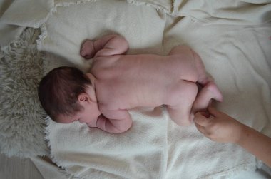 Küçük bir çocuğun portre fotoğrafı. Beyaz çocuk Güney Arap görünümü