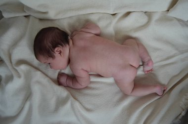 Küçük bir çocuğun portre fotoğrafı. Beyaz çocuk Güney Arap görünümü