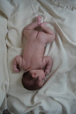 Küçük bir çocuğun portre fotoğrafı. Beyaz çocuk Güney Arap görünümü