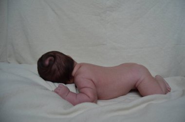 Küçük bir çocuğun portre fotoğrafı. Beyaz çocuk Güney Arap görünümü