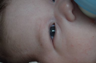 Küçük bir çocuğun portre fotoğrafı. Beyaz çocuk Güney Arap görünümü