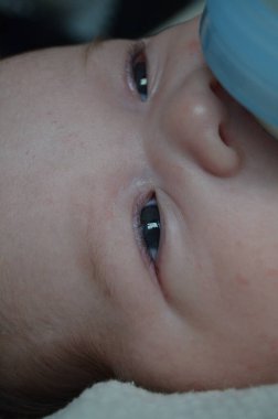 Küçük bir çocuğun portre fotoğrafı. Beyaz çocuk Güney Arap görünümü