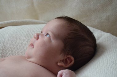 Küçük bir çocuğun portre fotoğrafı. Beyaz çocuk Güney Arap görünümü