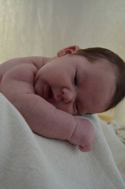 Küçük bir çocuğun portre fotoğrafı. Beyaz çocuk Güney Arap görünümü