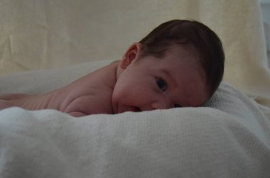 Küçük bir çocuğun portre fotoğrafı. Beyaz çocuk Güney Arap görünümü