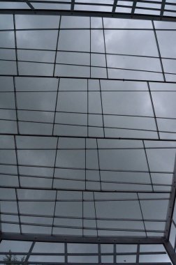 Ağaçların ve bitkilerin manzara fotoğrafçılığı