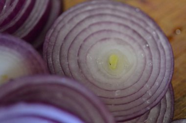 Soğanların makro fotoğrafçılığı