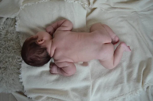 Küçük bir çocuğun portre fotoğrafı. Beyaz çocuk Güney Arap görünümü