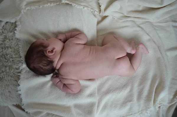 Küçük bir çocuğun portre fotoğrafı. Beyaz çocuk Güney Arap görünümü