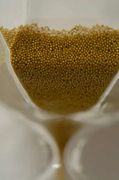 Kum zımbırtısının makro fotoğrafı