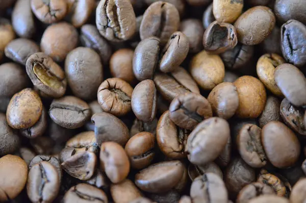 kahve kemiklerinin makro fotoğrafı