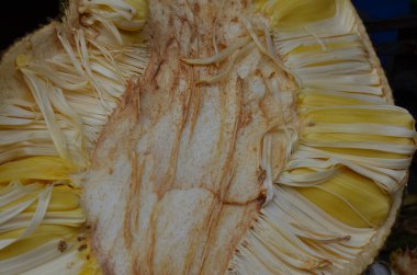 Tayland 'ın ünlü kokuşmuş durian meyvesi.