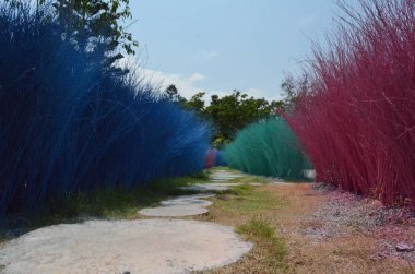 Tayland 'da renkli çalılar, yeşil ağaçlar ve çay evi