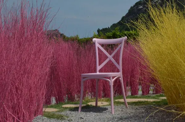 Tayland 'da renkli çalılar, yeşil ağaçlar ve çay evi