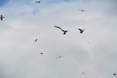 İstanbul, Antik Yunan 'dan 