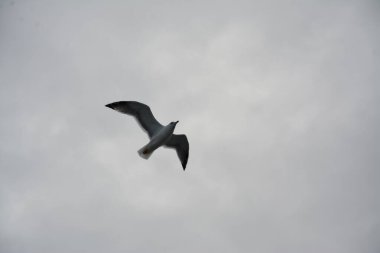 İstanbul, Antik Yunan 'dan 