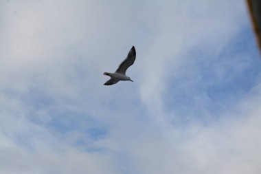 İstanbul, Antik Yunan 'dan 