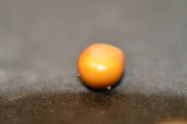 Mısır ve patlamış mısırın makro fotoğrafı