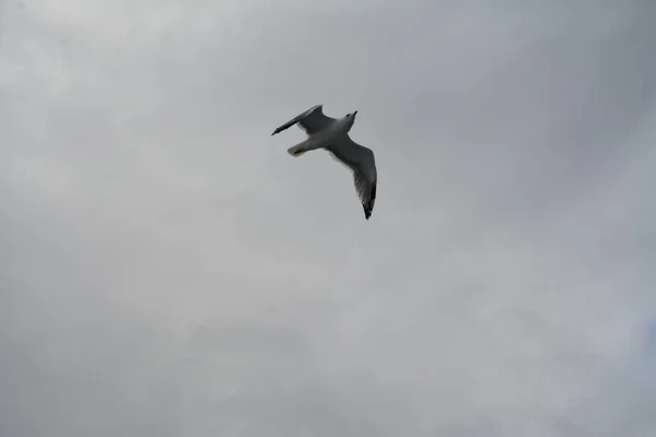 İstanbul, Antik Yunan 'dan 