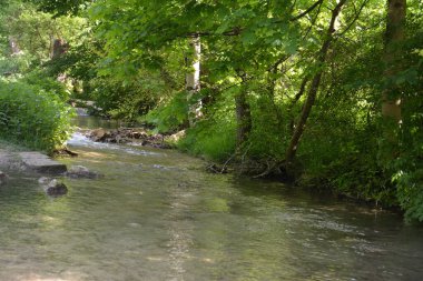 Almanya 'nın doğasında fotoğraflar. Urach Şelaleleri Bad Urach kasabasında yer almaktadır..