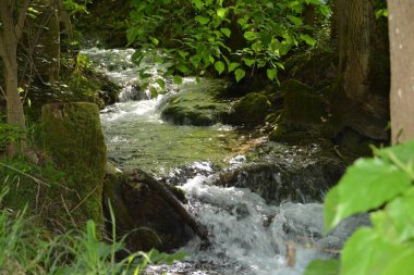 Almanya 'nın doğasında fotoğraflar. Urach Şelaleleri Bad Urach kasabasında yer almaktadır..